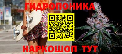 прущие крисы Кунгур
